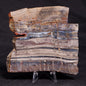 STROMATOLITE, Jerrinah Formation, Proterozoic, Australia ZJF052