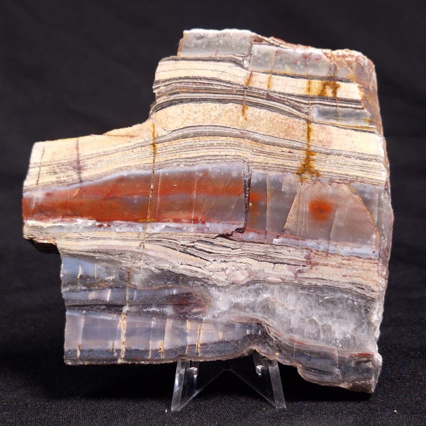 STROMATOLITE, Jerrinah Formation, Proterozoic, Australia ZJF053