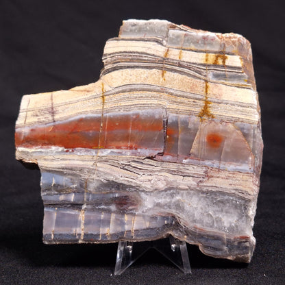 STROMATOLITE, Jerrinah Formation, Proterozoic, Australia ZJF053