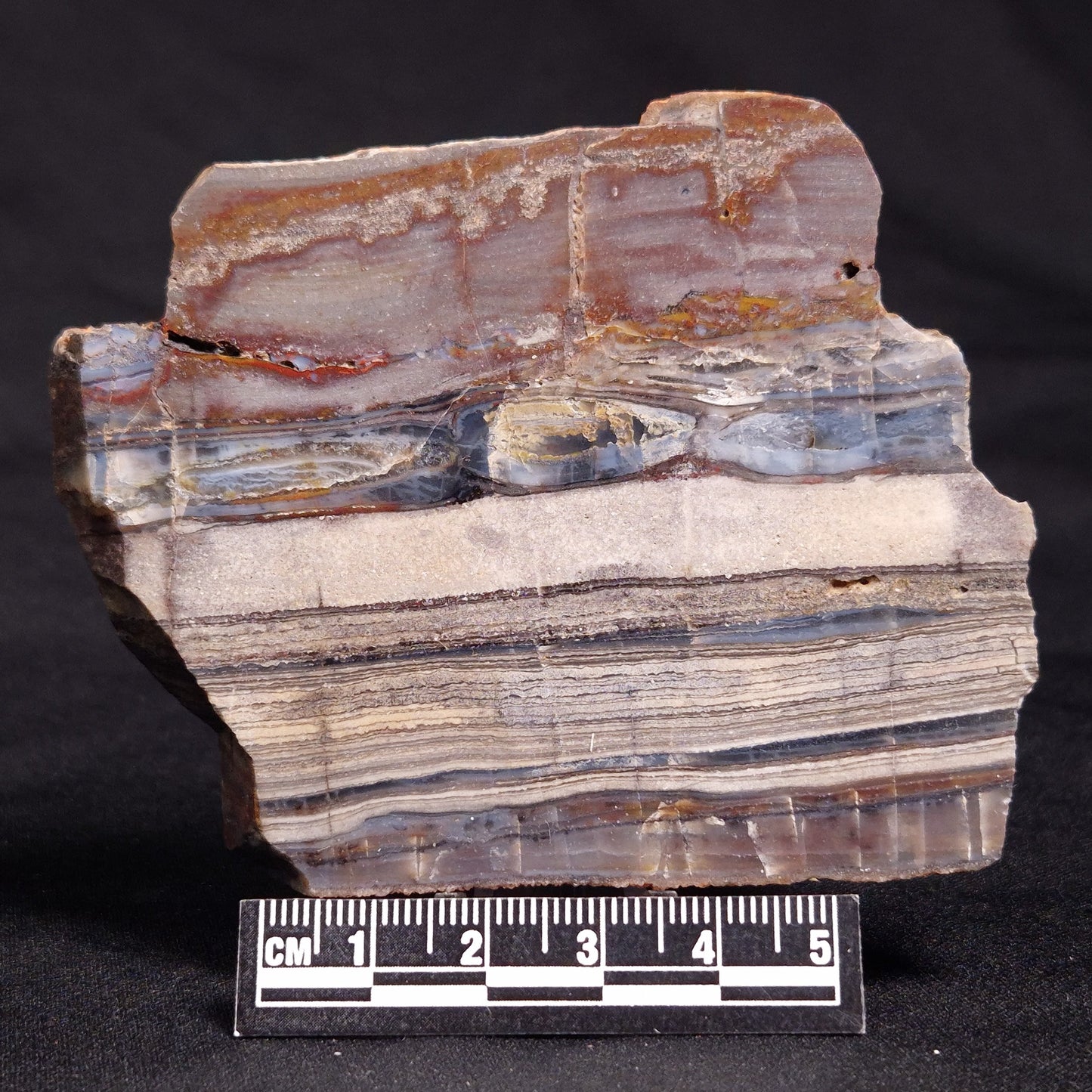 STROMATOLITE, Jerrinah Formation, Proterozoic, Australia ZJF054
