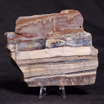 STROMATOLITE, Jerrinah Formation, Proterozoic, Australia ZJF054