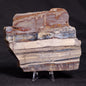 STROMATOLITE, Jerrinah Formation, Proterozoic, Australia ZJF054