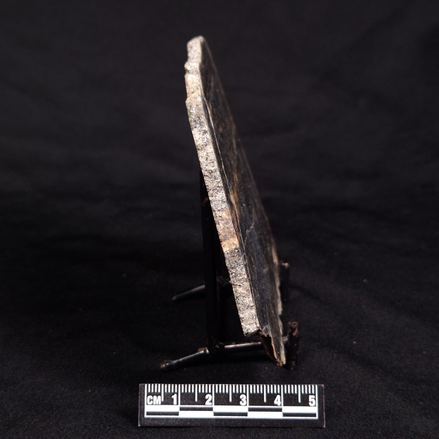 ACASTA GNEISS "OLDEST ROCK IN THE WORLD", Late Hadean, Canada ZAG029