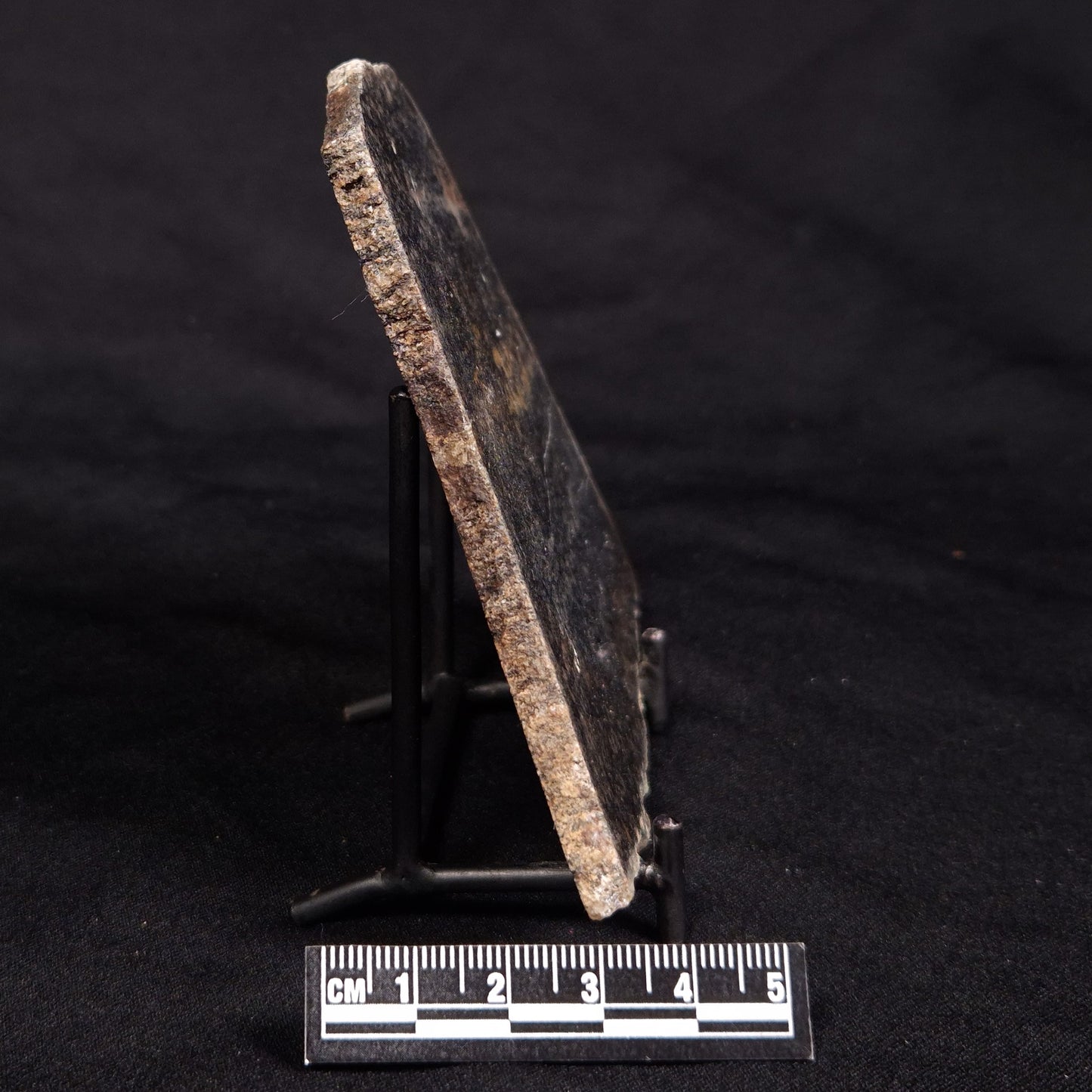 ACASTA GNEISS "OLDEST ROCK IN THE WORLD", Late Hadean, Canada ZAG036