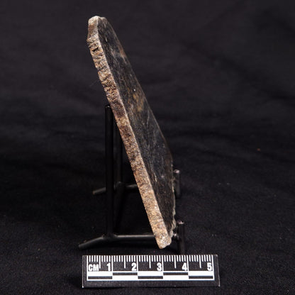 ACASTA GNEISS "OLDEST ROCK IN THE WORLD", Late Hadean, Canada ZAG036