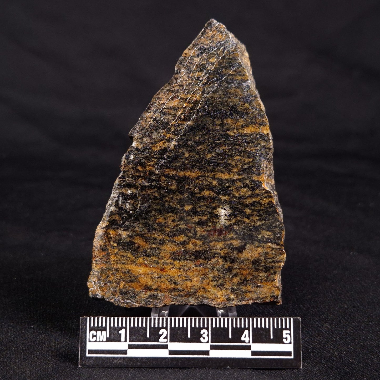 ACASTA GNEISS "OLDEST ROCK IN THE WORLD", Late Hadean, Canada ZAG037