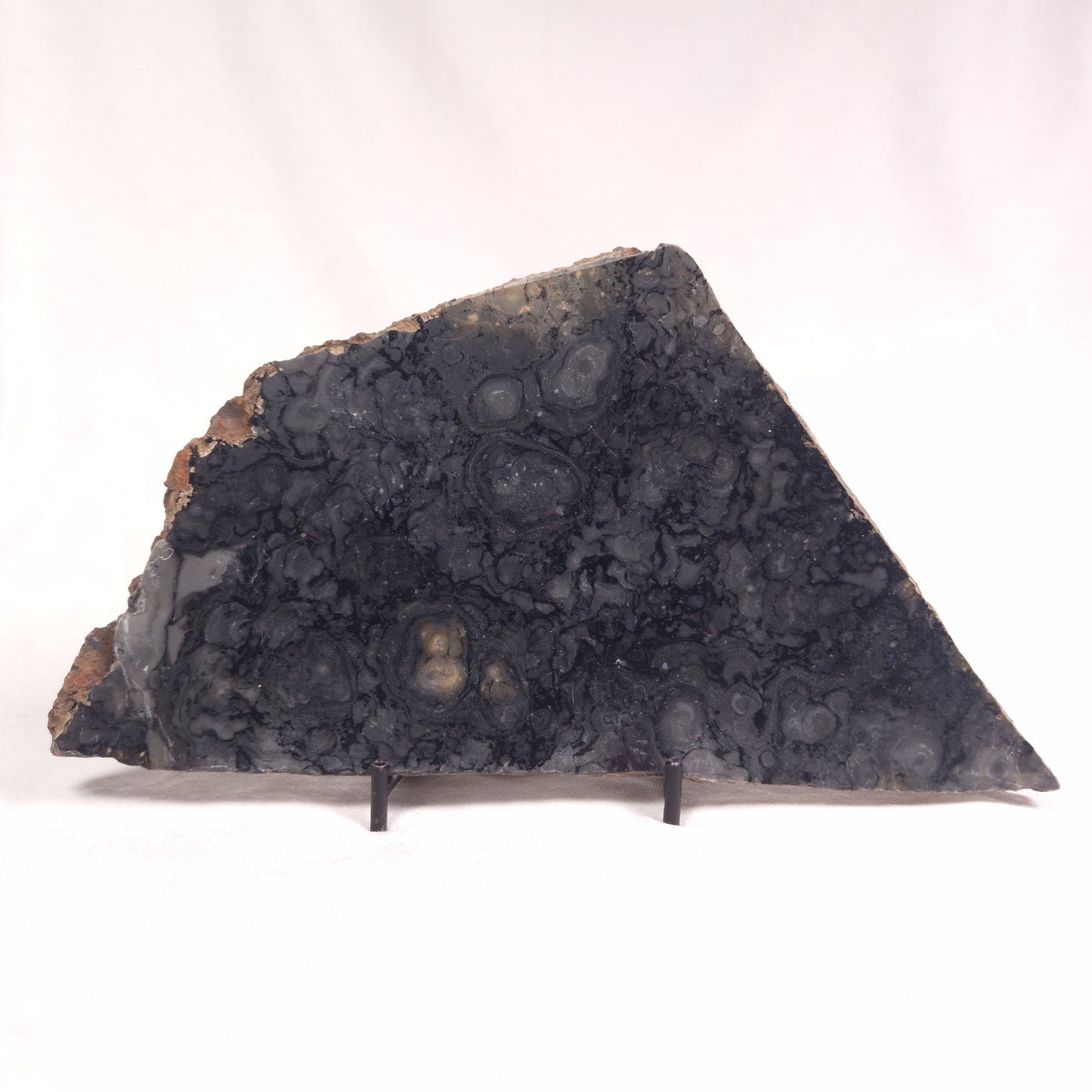 ALCHERINGA NARRINA STROMATOLITE, Late Archean, Australia ZAN008