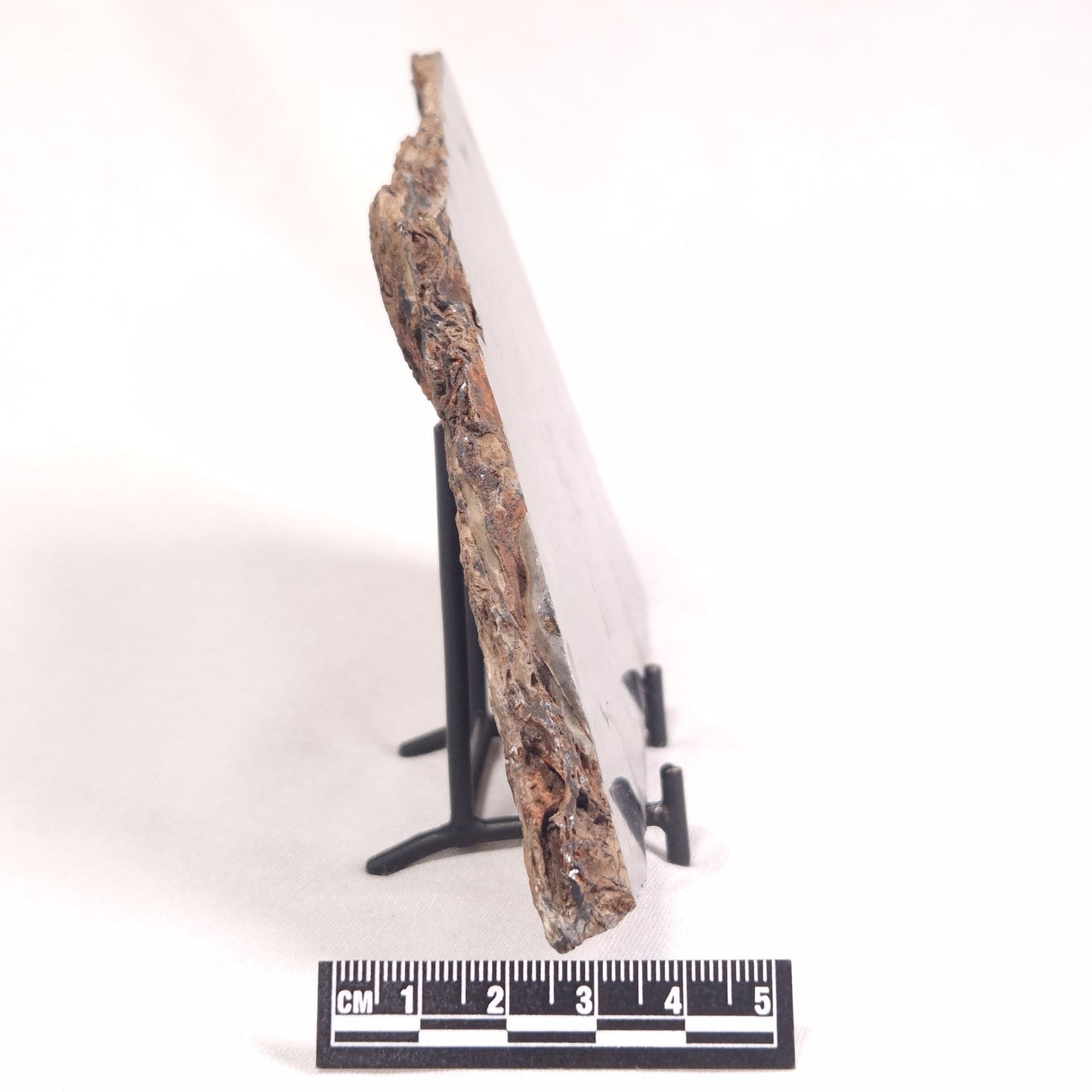 ALCHERINGA NARRINA STROMATOLITE, Late Archean, Australia ZAN008