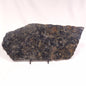 ALCHERINGA NARRINA STROMATOLITE, Late Archean, Australia ZAN009