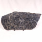 ALCHERINGA NARRINA STROMATOLITE, Late Archean, Australia ZAN010