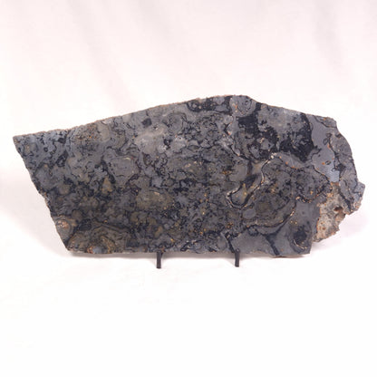 ALCHERINGA NARRINA STROMATOLITE, Late Archean, Australia ZAN011