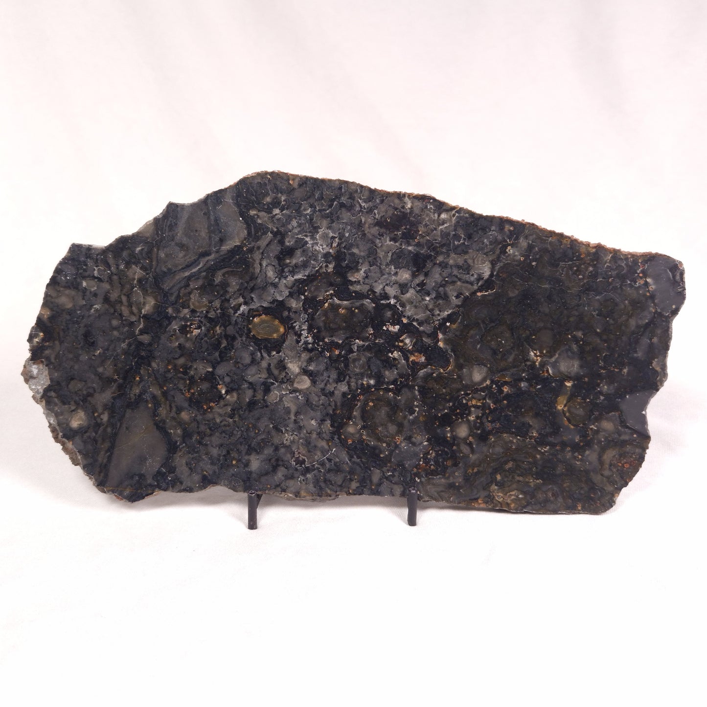 ALCHERINGA NARRINA STROMATOLITE, Late Archean, Australia ZAN014