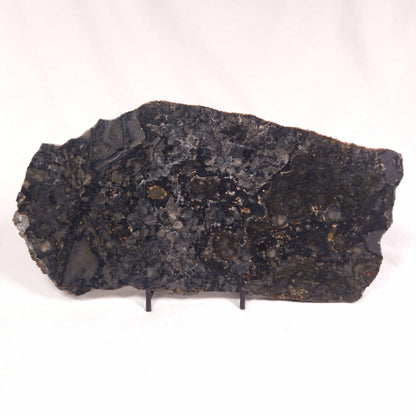 ALCHERINGA NARRINA STROMATOLITE, Late Archean, Australia ZAN014