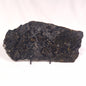 ALCHERINGA NARRINA STROMATOLITE, Late Archean, Australia ZAN014