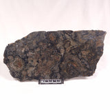 ALCHERINGA NARRINA STROMATOLITE, Late Archean, Australia ZAN015