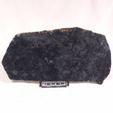 ALCHERINGA NARRINA STROMATOLITE, Late Archean, Australia ZAN016