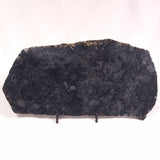 ALCHERINGA NARRINA STROMATOLITE, Late Archean, Australia ZAN016