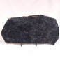 ALCHERINGA NARRINA STROMATOLITE, Late Archean, Australia ZAN016
