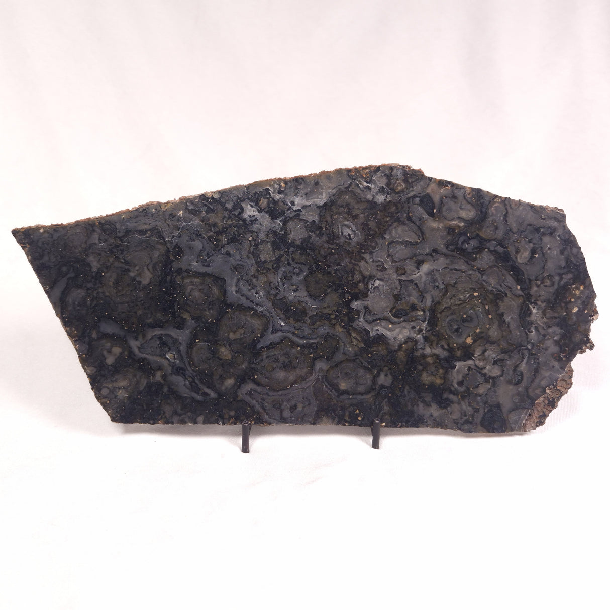 ALCHERINGA NARRINA STROMATOLITE, Late Archean, Australia ZAN017