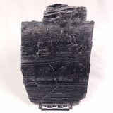 ALCHERINGA NARRINA STROMATOLITE, Late Archean, Australia ZAN018