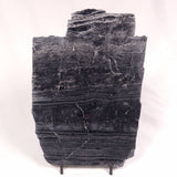 ALCHERINGA NARRINA STROMATOLITE, Late Archean, Australia ZAN018