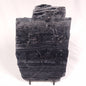 ALCHERINGA NARRINA STROMATOLITE, Late Archean, Australia ZAN018