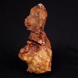 STROMATOLITE MICROBIAL MAT, Strelley Pool Formation, Archean, Australia ZSP024