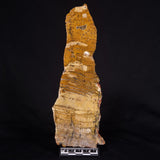 STROMATOLITE MICROBIAL MAT, Strelley Pool Formation, Archean, Australia ZSP028