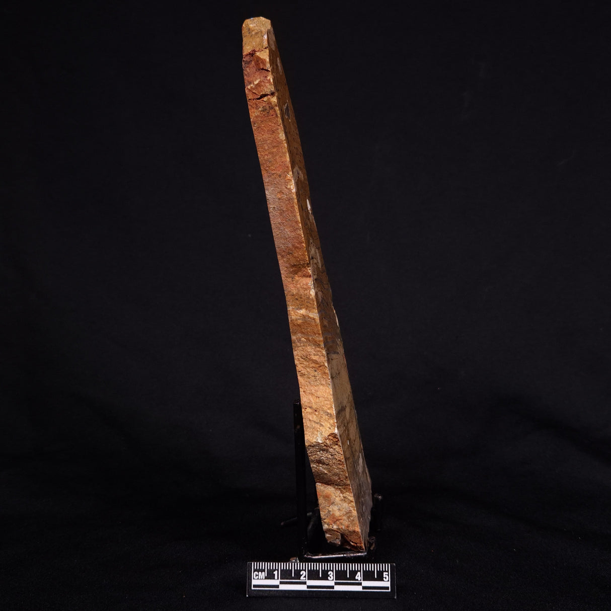STROMATOLITE MICROBIAL MAT, Strelley Pool Formation, Archean, Australia ZSP028