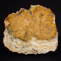 STROMATOLITE MICROBIAL MAT, Strelley Pool Formation, Archean, Australia ZSP032