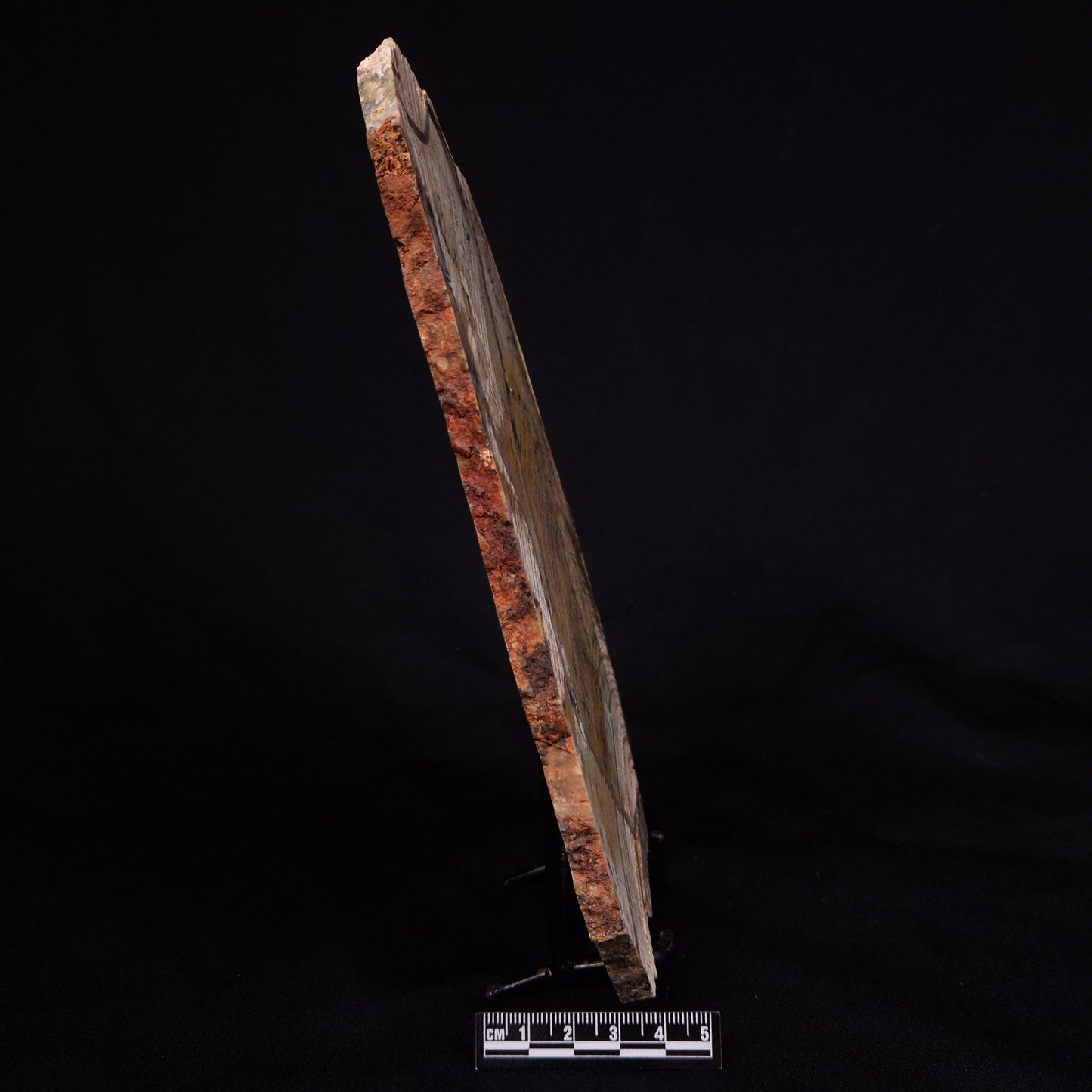 STROMATOLITE MICROBIAL MAT, Strelley Pool Formation, Archean, Australia ZSP034