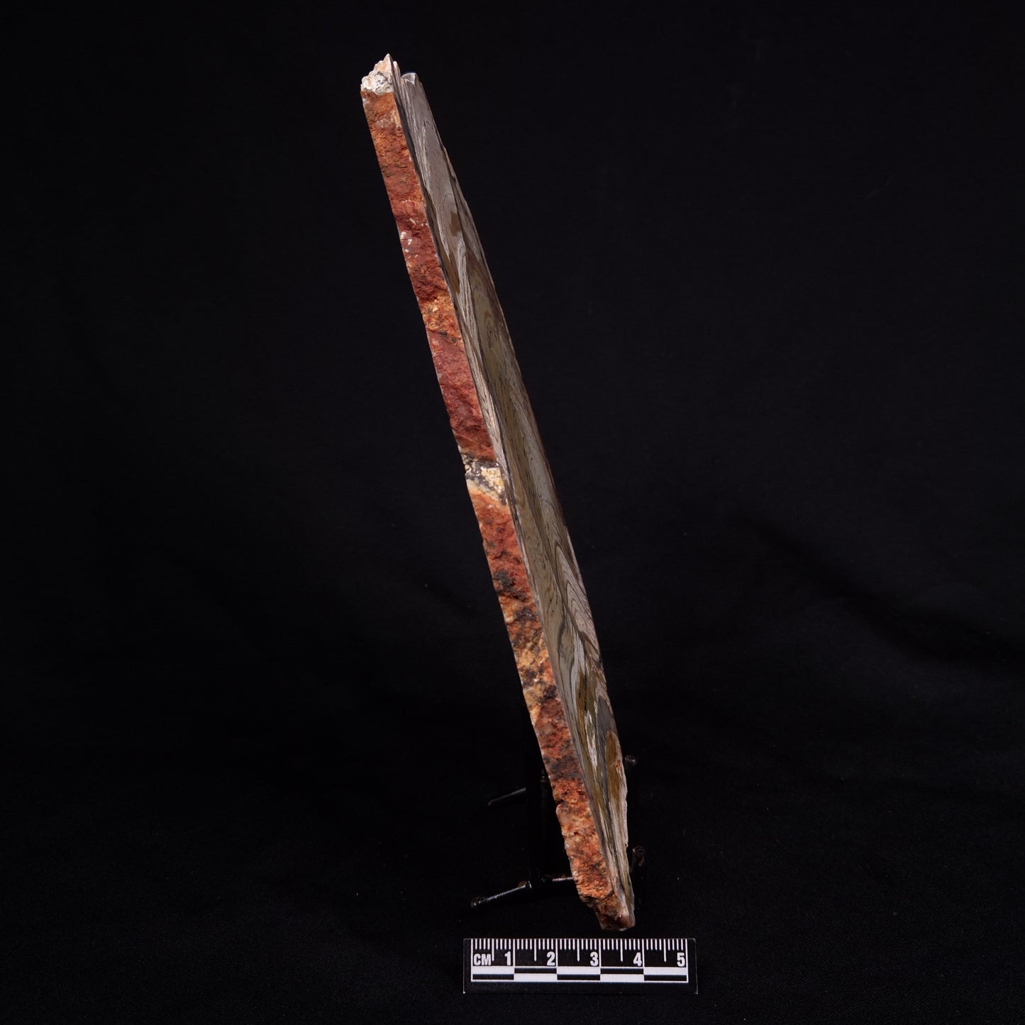 STROMATOLITE MICROBIAL MAT, Strelley Pool Formation, Archean, Australia ZSP035