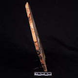 STROMATOLITE MICROBIAL MAT, Strelley Pool Formation, Archean, Australia ZSP036