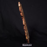 STROMATOLITE MICROBIAL MAT, Strelley Pool Formation, Archean, Australia ZSP042