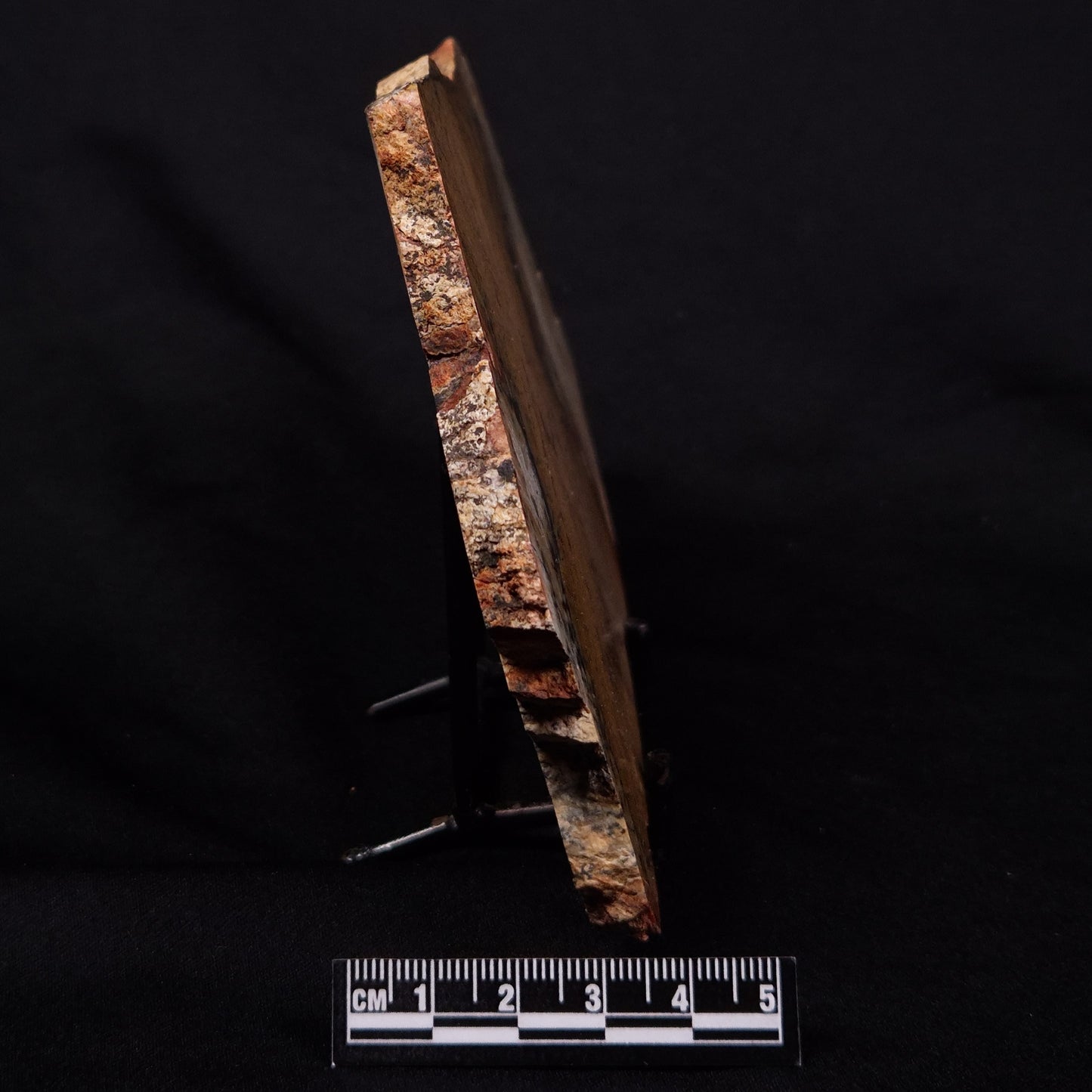 STROMATOLITE MICROBIAL MAT, Strelley Pool Formation, Archean, Australia ZSP043