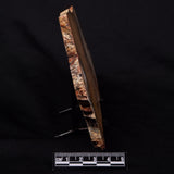 STROMATOLITE MICROBIAL MAT, Strelley Pool Formation, Archean, Australia ZSP043