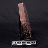 CONOPHYTON AMANTOURARTENSIS STROMATOLITE, Ediacaran, Morocco ZCA017