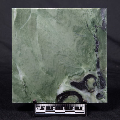 STROMATOLITE BAICALIA CAPRICORNIA, Mesoproterozoic, Australia ZBC001
