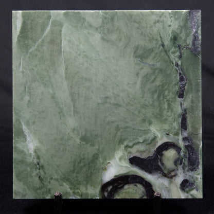 STROMATOLITE BAICALIA CAPRICORNIA, Mesoproterozoic, Australia ZBC001
