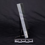 STROMATOLITE BAICALIA CAPRICORNIA, Mesoproterozoic, Australia ZBC002