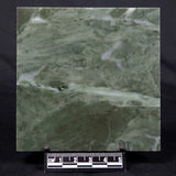 STROMATOLITE BAICALIA CAPRICORNIA, Mesoproterozoic, Australia ZBC003