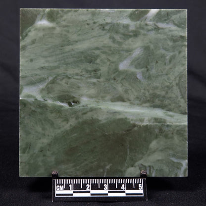 STROMATOLITE BAICALIA CAPRICORNIA, Mesoproterozoic, Australia ZBC003