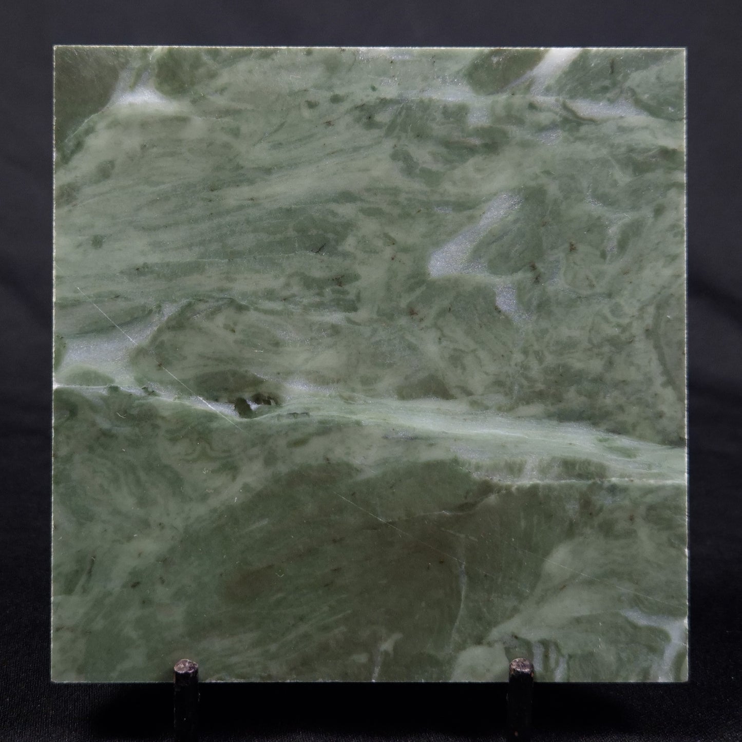 STROMATOLITE BAICALIA CAPRICORNIA, Mesoproterozoic, Australia ZBC003