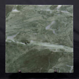 STROMATOLITE BAICALIA CAPRICORNIA, Mesoproterozoic, Australia ZBC003