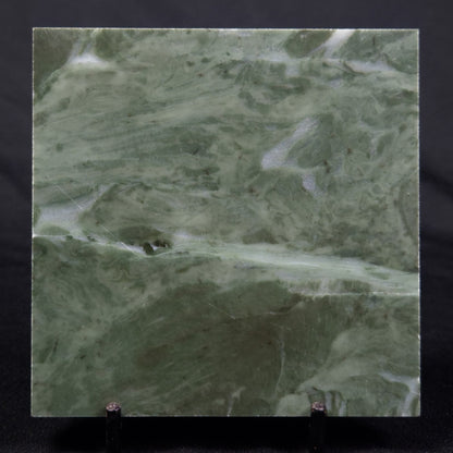 STROMATOLITE BAICALIA CAPRICORNIA, Mesoproterozoic, Australia ZBC003