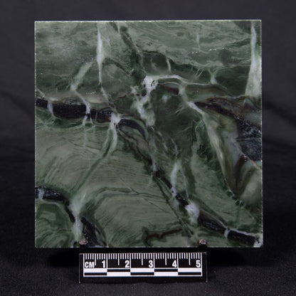 STROMATOLITE BAICALIA CAPRICORNIA, Mesoproterozoic, Australia ZBC004
