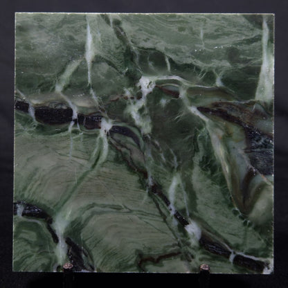 STROMATOLITE BAICALIA CAPRICORNIA, Mesoproterozoic, Australia ZBC004