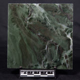 STROMATOLITE BAICALIA CAPRICORNIA, Mesoproterozoic, Australia ZBC005