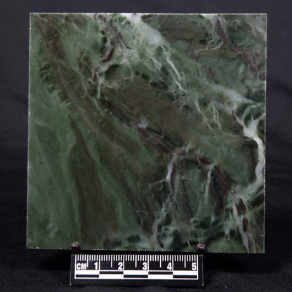 STROMATOLITE BAICALIA CAPRICORNIA, Mesoproterozoic, Australia ZBC005