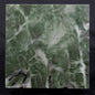 STROMATOLITE BAICALIA CAPRICORNIA, Mesoproterozoic, Australia ZBC006